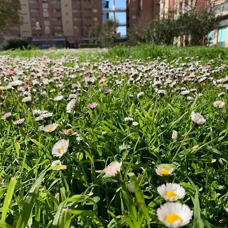 Apartment Casa Silvia - Accogliente Bilocale A 5 Minuti Dalla Stazione Di Portanuova *