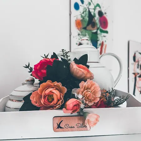 Casa Silvia - Accogliente Bilocale A 5 Minuti Dalla Stazione Di Portanuova 公寓 佩斯卡拉