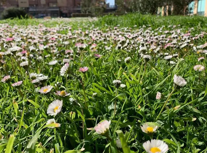 Apartman Casa Silvia - Accogliente Bilocale A 5 Minuti Dalla Stazione Di Portanuova *